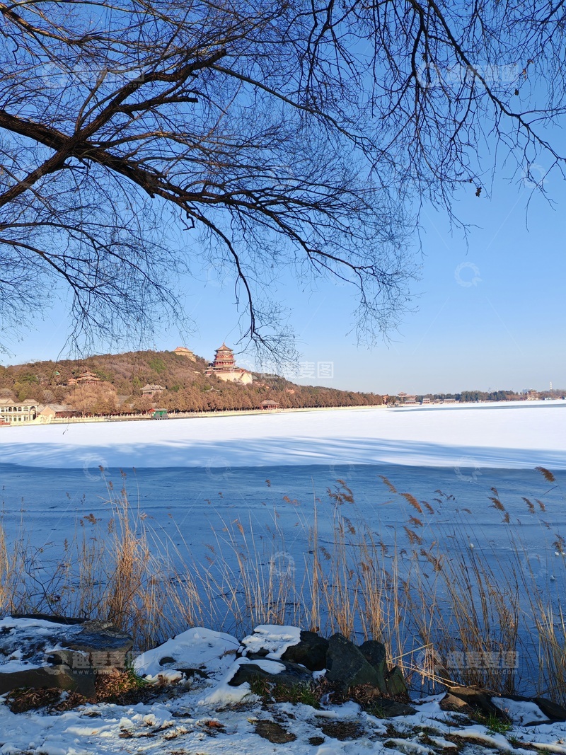 高清大图下载【趣麦麦图】-冬日雪景湖水树枝