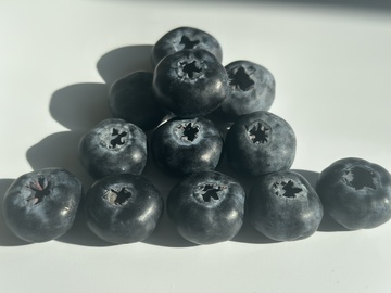 简约蓝莓水果摄影图片