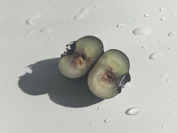 清新蓝莓水滴静物摄影