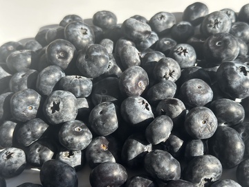 新鲜蓝莓特写摄影图片2