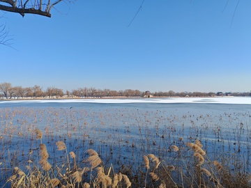 冬日湖面风光摄影