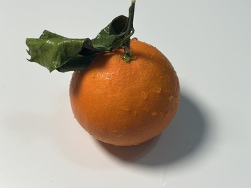 新鲜橘子特写摄影