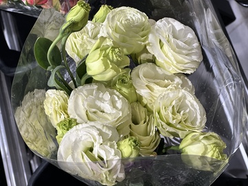 鲜花束白色花朵包装摄影