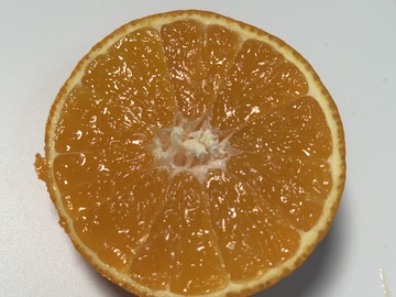 新鲜橙子切片特写1