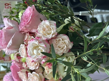 粉色玫瑰鲜花束