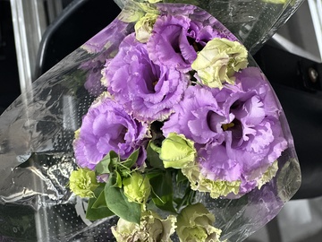 透明包装紫色花朵特写摄影