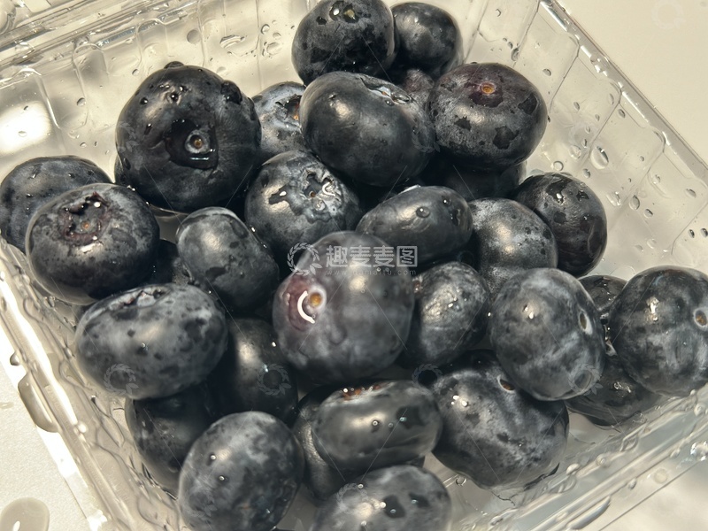 高清大图下载【趣麦麦图】新鲜蓝莓盛放