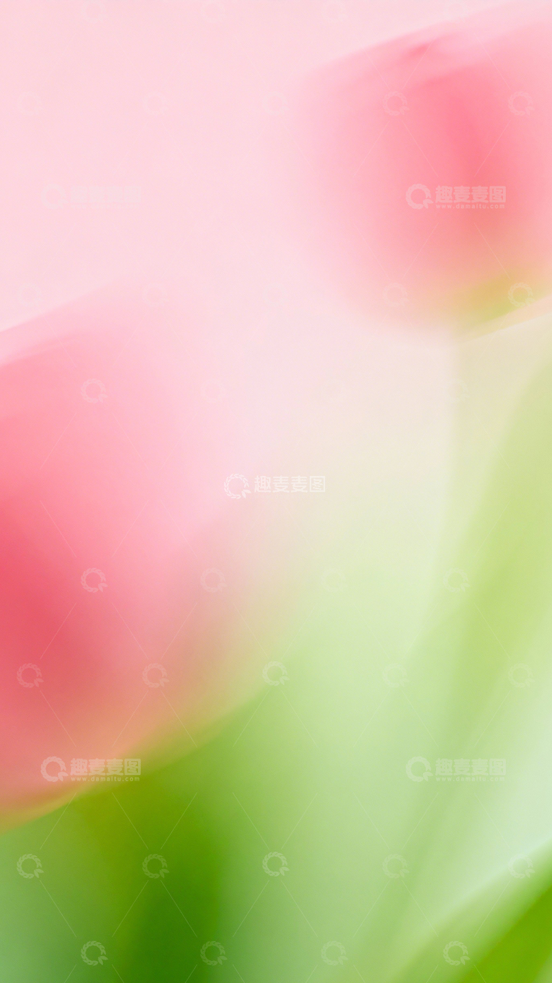 高清大图下载【趣麦麦图】粉绿柔雾空灵质感