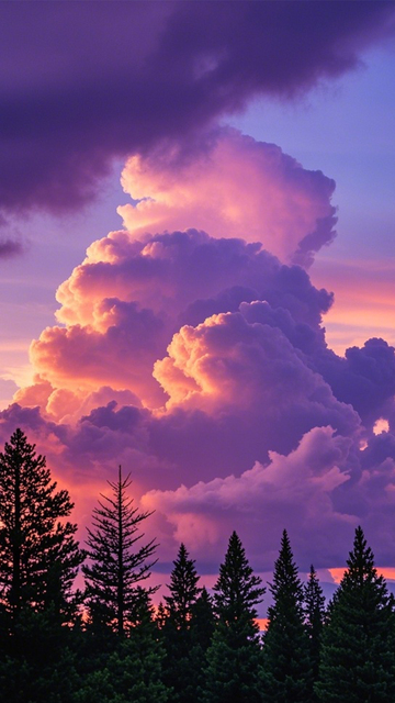 粉紫晚霞森林诗意2