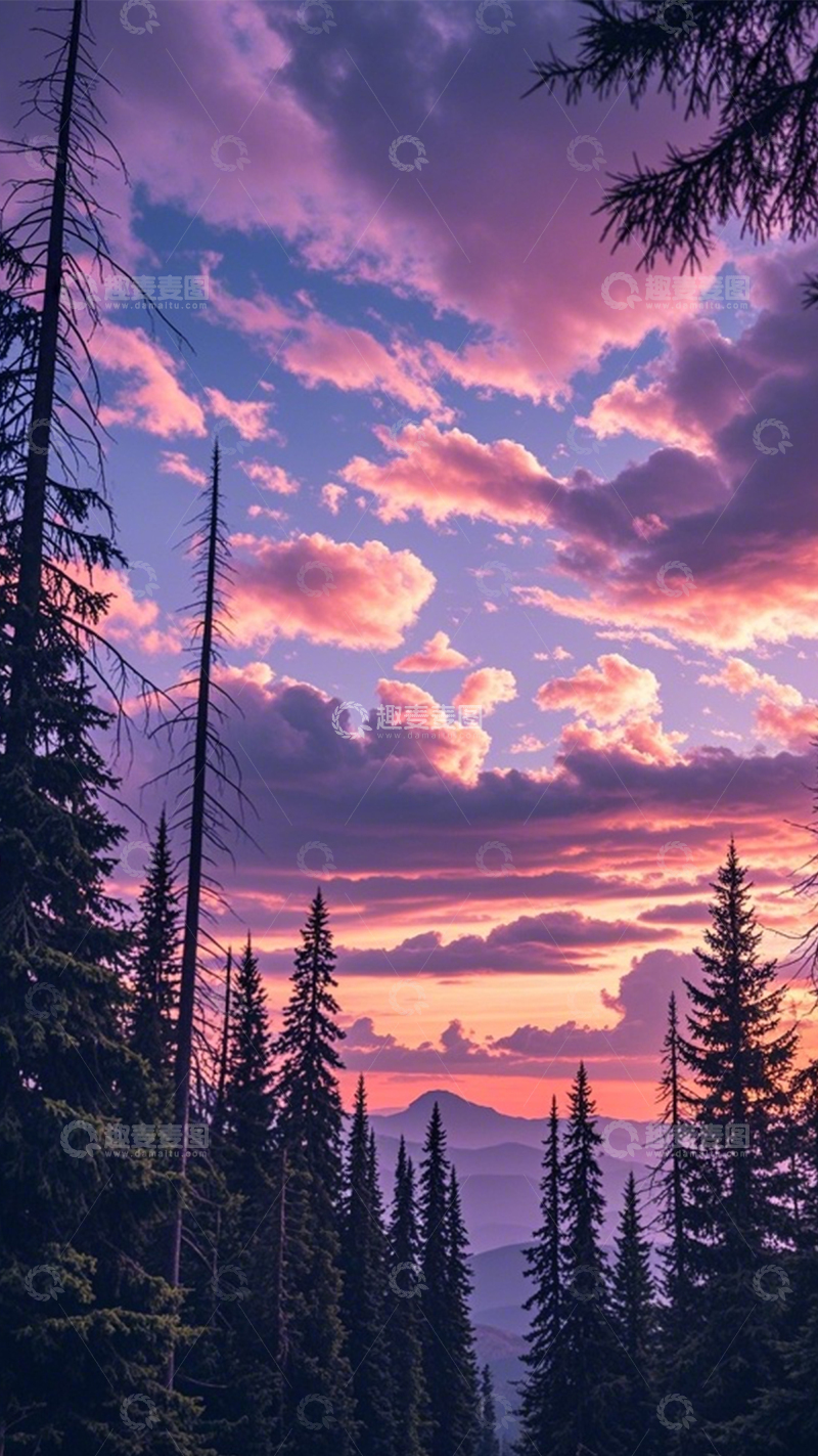 高清大图下载【趣麦麦图】粉紫晚霞森林诗意3