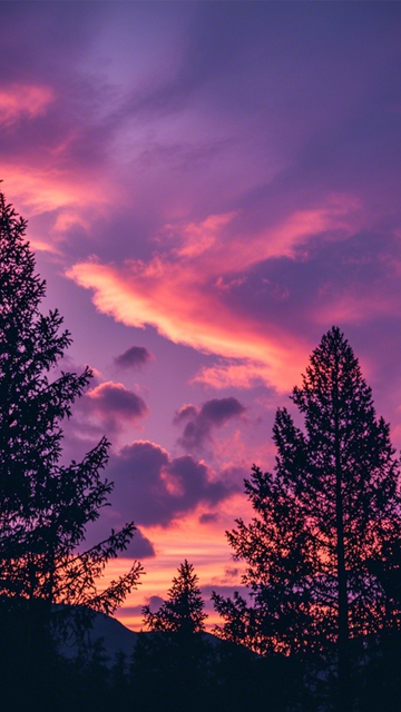 粉紫晚霞森林诗意