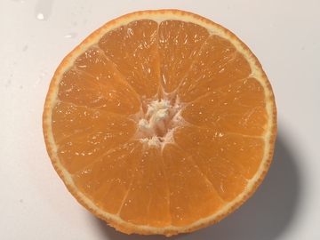 新鲜橙子横切面特写