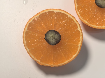 新鲜橙子切片特写摄影1