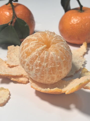 清新橘子特写水果摄影图片