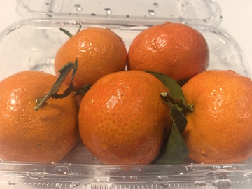 透明盒盛橘子新鲜水果摄影