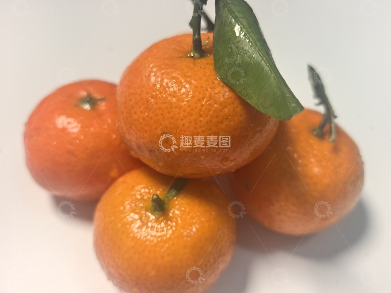 高清大图下载【趣麦麦图】新鲜柑橘果实摄影图片