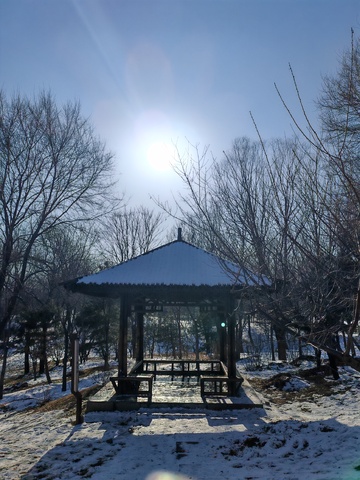 冬日雪景亭子风光