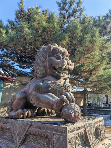 石狮雕塑古建筑风景