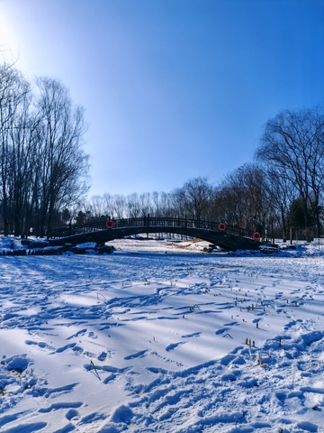 冬日雪景拱桥风光