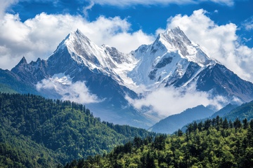 远山高原森林大山