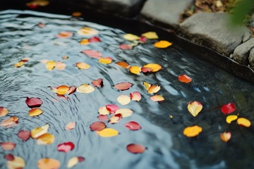 秋季红黄色的落叶落在水池里