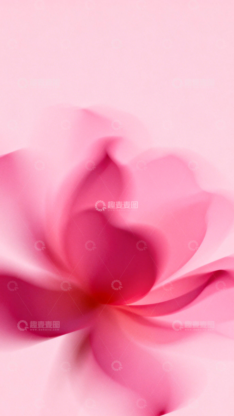 高清大图下载【趣麦麦图】粉透花形温柔空灵7