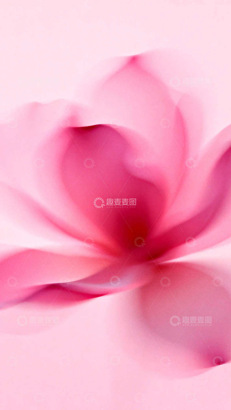 高清大图下载【趣麦麦图】粉透花形温柔空灵6