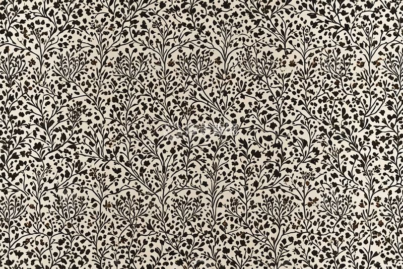 高清大图下载【趣麦麦图】黑白植物花纹图案背景