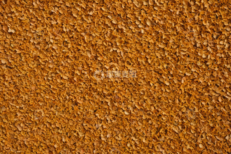 高清大图下载【趣麦麦图】谷物特写素材