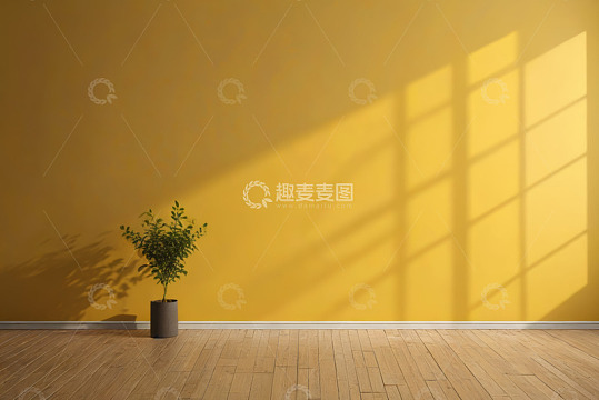 室内黄色墙壁与绿植光影场景
