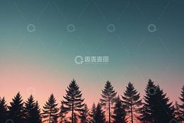 黄昏时分森林树木天际线