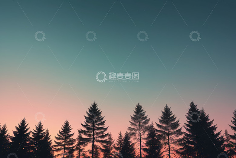 黄昏时分森林树木天际线