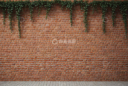 红砖墙面配垂挂绿植背景