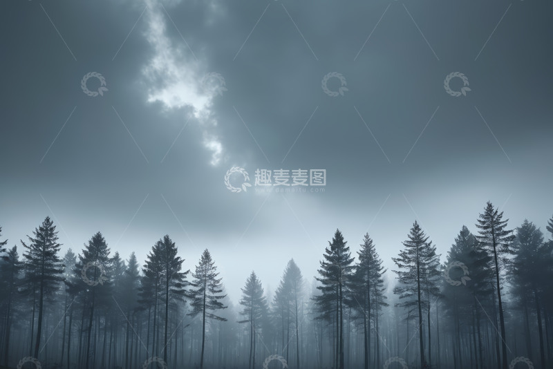 高清大图下载【趣麦麦图】云雾笼罩的森林景观