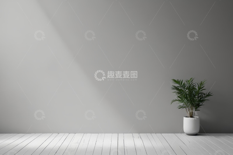 高清大图下载【趣麦麦图】室内白色背景绿植简约场景