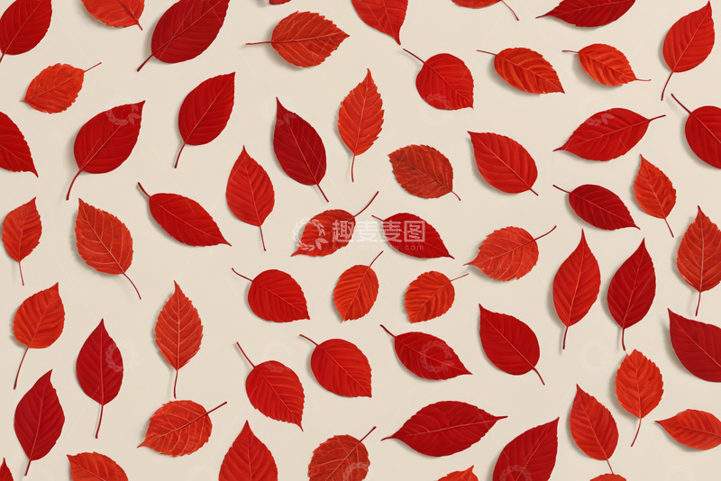 高清大图下载【趣麦麦图】红色秋叶图案背景素材