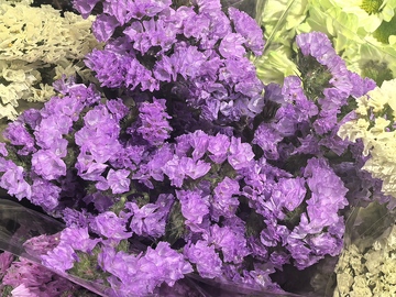 紫色鲜花盛开市场