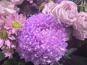 紫色花卉组合花束特写