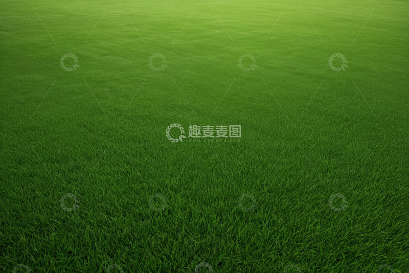 高清大图下载【趣麦麦图】绿色平坦草地素材