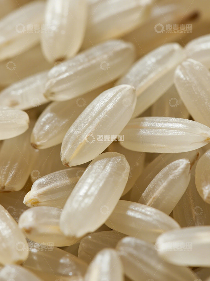 高清大图下载【趣麦麦图】米粒特写白色大米食材