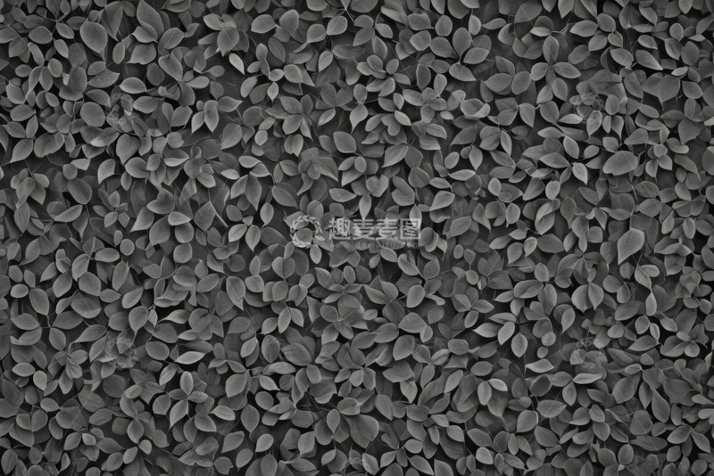 高清大图下载【趣麦麦图】灰色叶子纹理背景