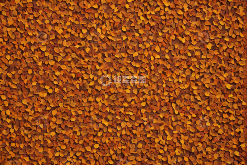 高清大图下载【趣麦麦图】堆积谷物特写素材