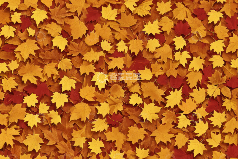 高清大图下载【趣麦麦图】秋季枫叶背景素材