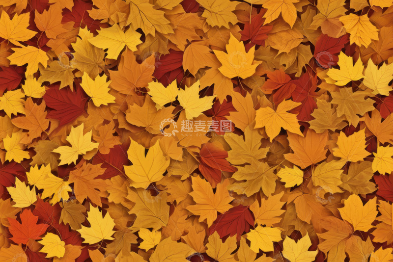 高清大图下载【趣麦麦图】秋季枫叶背景素材