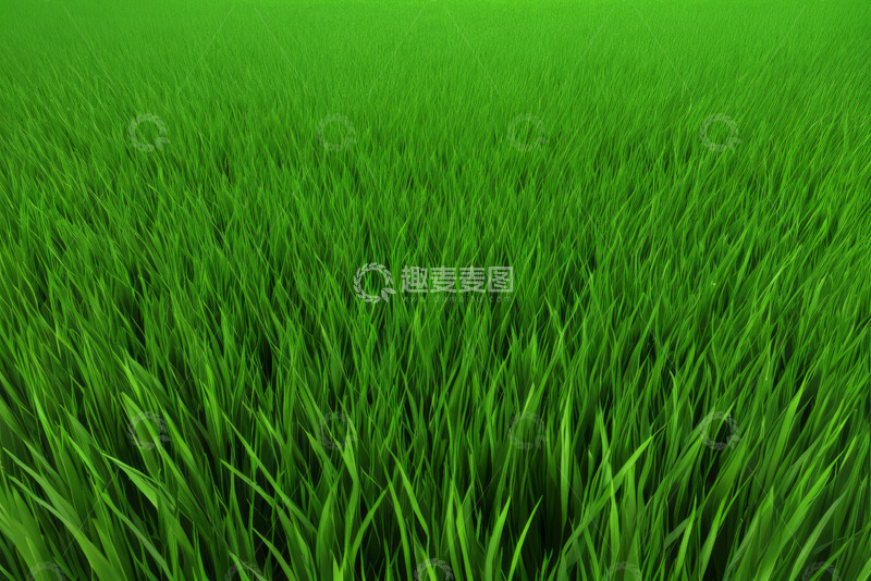 高清大图下载【趣麦麦图】绿色草地自然风光素材