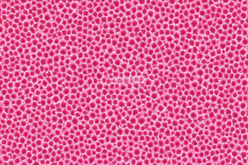 高清大图下载【趣麦麦图】粉色花朵图案背景素材