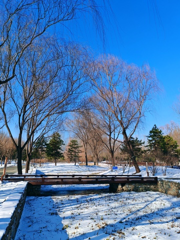冬日雪景公园木桥风光