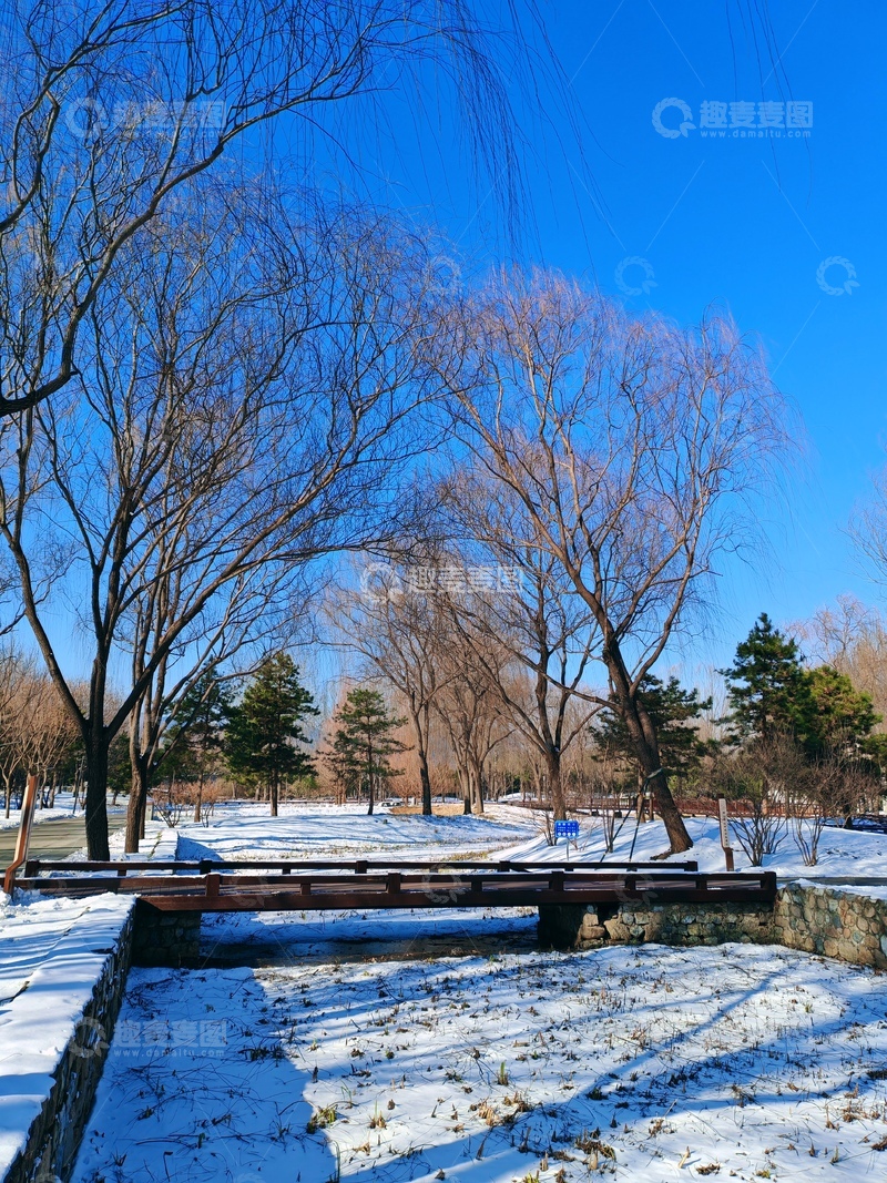 高清大图下载【趣麦麦图】冬日雪景公园木桥风光