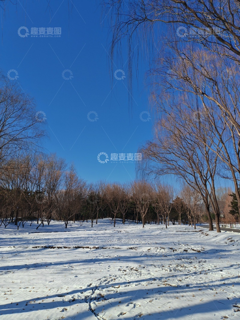 高清大图下载【趣麦麦图】冬日雪景树木蓝天