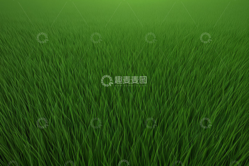 高清大图下载【趣麦麦图】广袤绿色草地自然景观